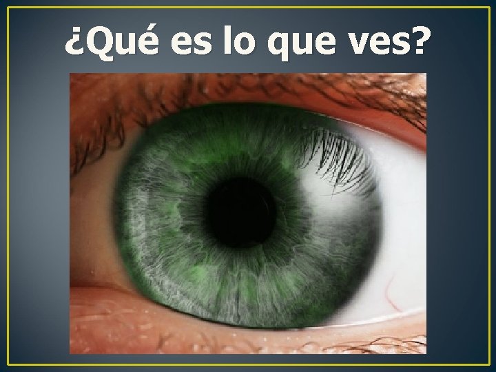 ¿Qué es lo que ves? ¿Qué es lo que ves?