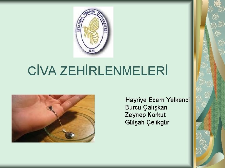 CİVA ZEHİRLENMELERİ Hayriye Ecem Yelkenci Burcu Çalışkan Zeynep Korkut Gülşah Çelikgür 