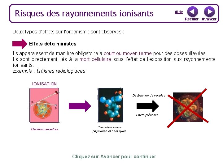 Risques des rayonnements ionisants Aide Reculer Avancer Deux types d’effets sur l’organisme sont observés