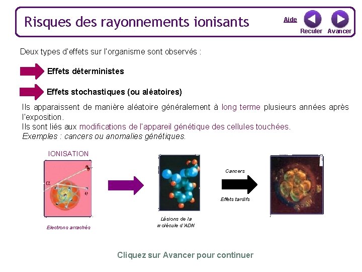 Risques des rayonnements ionisants Aide Reculer Avancer Deux types d’effets sur l’organisme sont observés