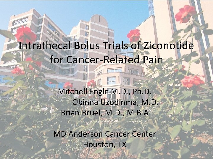 Intrathecal Bolus Trials of Ziconotide for Cancer-Related Pain Mitchell Engle M. D. , Ph.