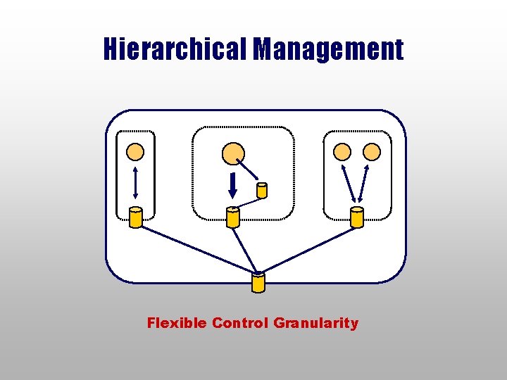 Hierarchical Management Flexible Control Granularity 