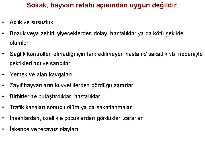 Sokak, hayvan refahı açısından uygun değildir. • Açlık ve susuzluk • Bozuk veya zehirli