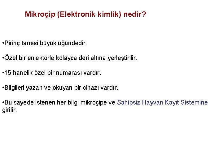 Mikroçip (Elektronik kimlik) nedir? • Pirinç tanesi büyüklüğündedir. • Özel bir enjektörle kolayca deri