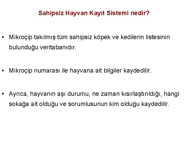 Sahipsiz Hayvan Kayıt Sistemi nedir? • Mikroçip takılmış tüm sahipsiz köpek ve kedilerin listesinin