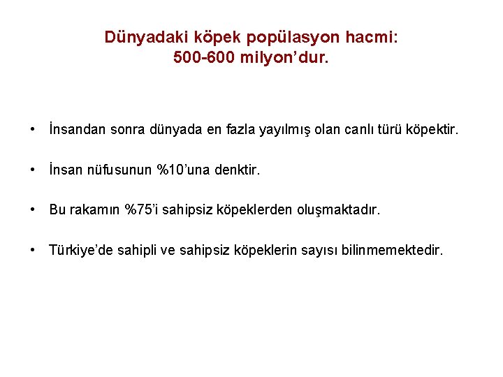 Dünyadaki köpek popülasyon hacmi: 500 -600 milyon’dur. • İnsandan sonra dünyada en fazla yayılmış