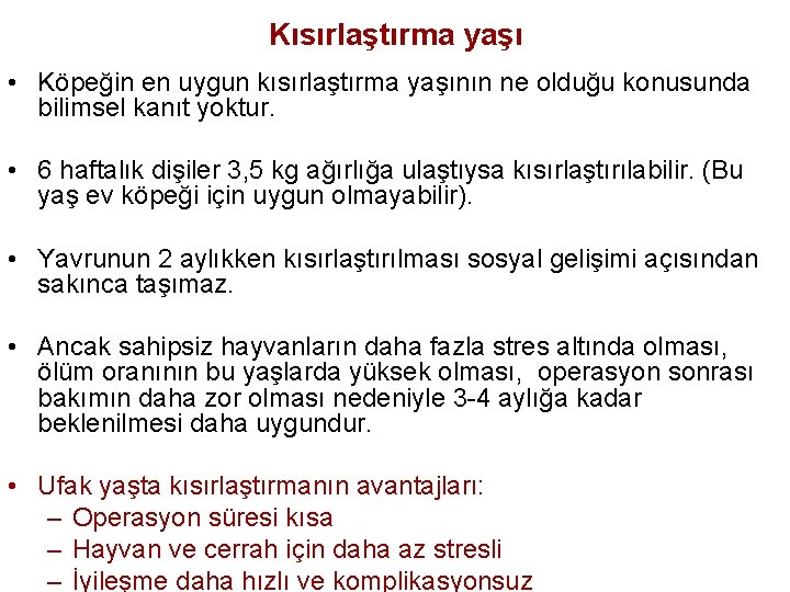 Kısırlaştırma yaşı • Köpeğin en uygun kısırlaştırma yaşının ne olduğu konusunda bilimsel kanıt yoktur.