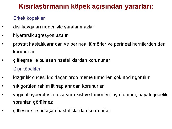 Kısırlaştırmanın köpek açısından yararları: Erkek köpekler • dişi kavgaları nedeniyle yaralanmazlar • hiyerarşik agresyon