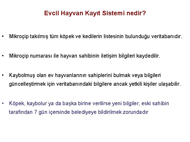 Evcil Hayvan Kayıt Sistemi nedir? • Mikroçip takılmış tüm köpek ve kedilerin listesinin bulunduğu