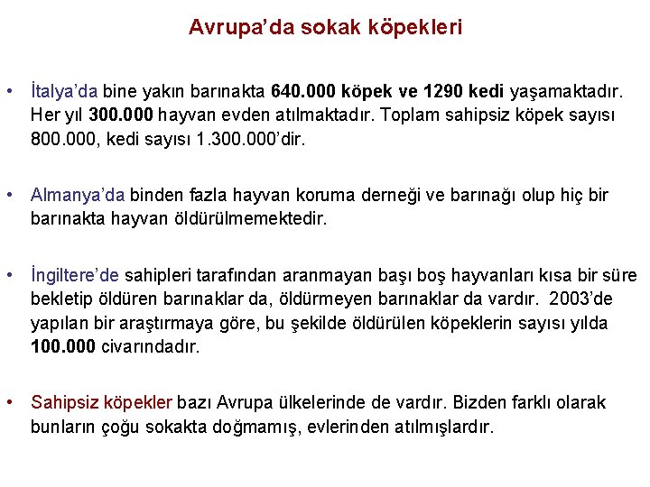 Avrupa’da sokak köpekleri • İtalya’da bine yakın barınakta 640. 000 köpek ve 1290 kedi