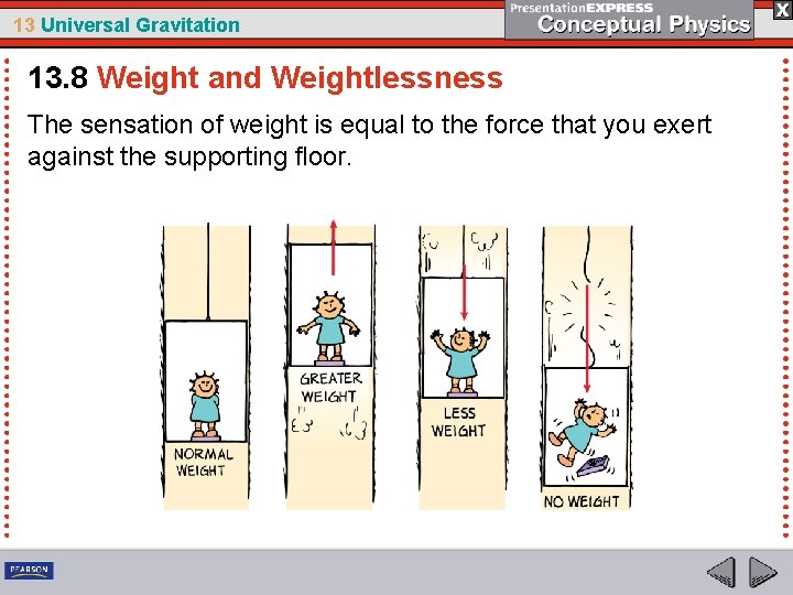 13 Universal Gravitation 13. 8 Weight and Weightlessness The sensation of weight is equal