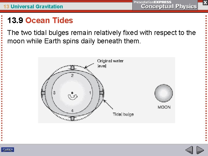 13 Universal Gravitation 13. 9 Ocean Tides The two tidal bulges remain relatively fixed