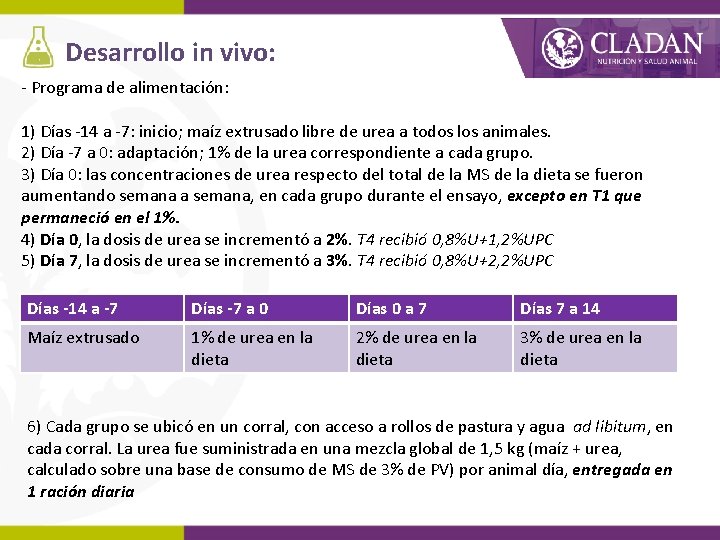 Desarrollo in vivo: - Programa de alimentación: 1) Días -14 a -7: inicio; maíz