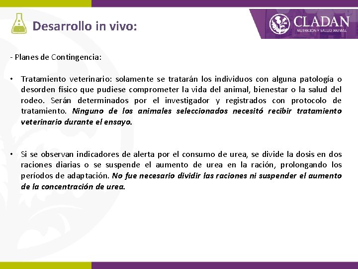 Desarrollo in vivo: - Planes de Contingencia: • Tratamiento veterinario: solamente se tratarán los