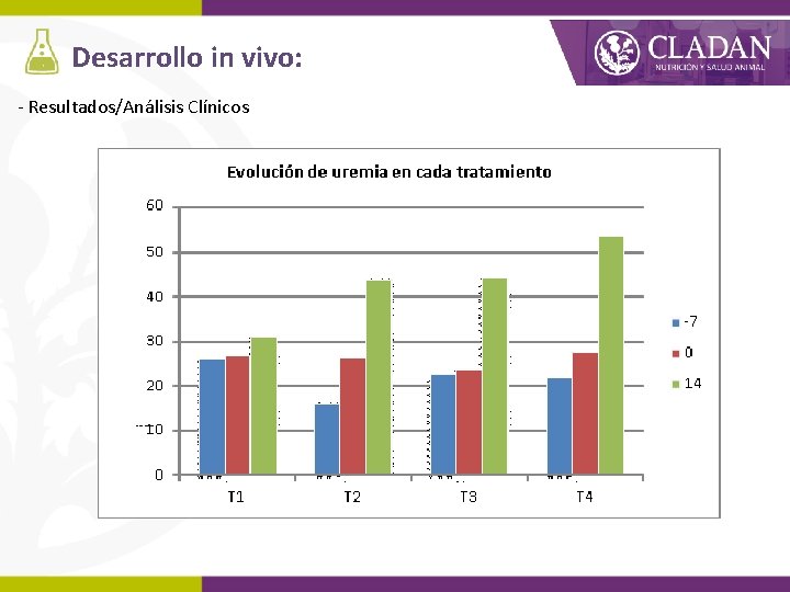 Desarrollo in vivo: - Resultados/Análisis Clínicos 