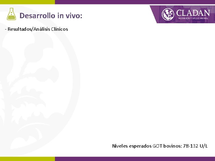 Desarrollo in vivo: - Resultados/Análisis Clínicos Niveles esperados GOT bovinos: 78 -132 U/L 