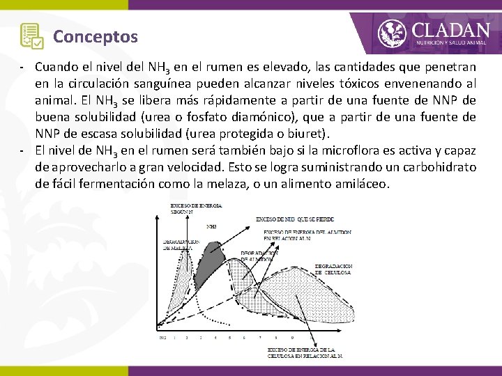 Conceptos - Cuando el nivel del NH 3 en el rumen es elevado, las