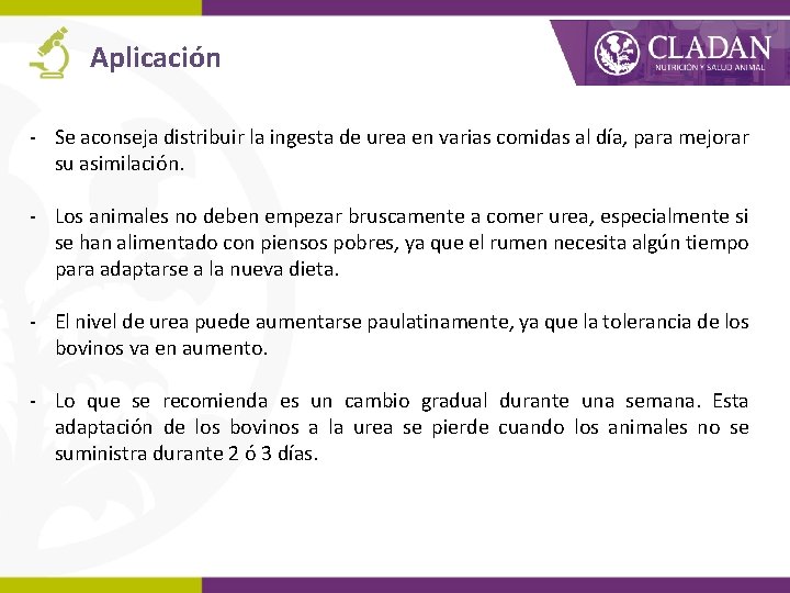 Aplicación - Se aconseja distribuir la ingesta de urea en varias comidas al día,