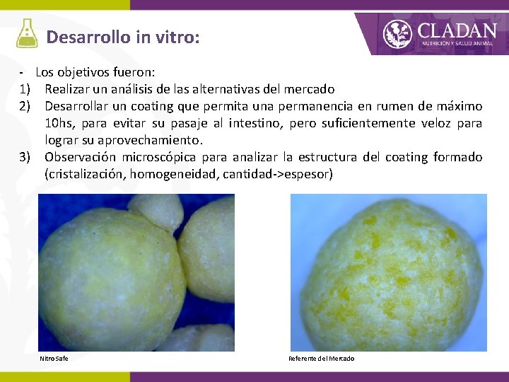 Desarrollo in vitro: - Los objetivos fueron: 1) Realizar un análisis de las alternativas