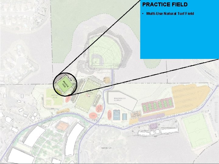 PRACTICE FIELD • Multi-Use Natural Turf Field 