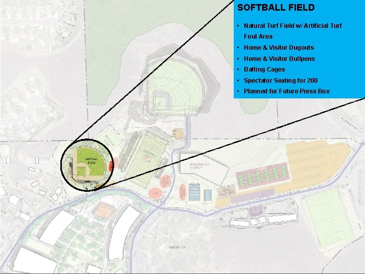 SOFTBALL FIELD • Natural Turf Field w/ Artificial Turf Foul Area • Home &