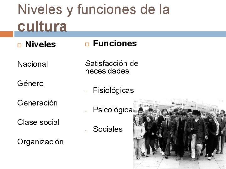 Niveles y funciones de la cultura Niveles Nacional Satisfacción de necesidades: Género - Fisiológicas