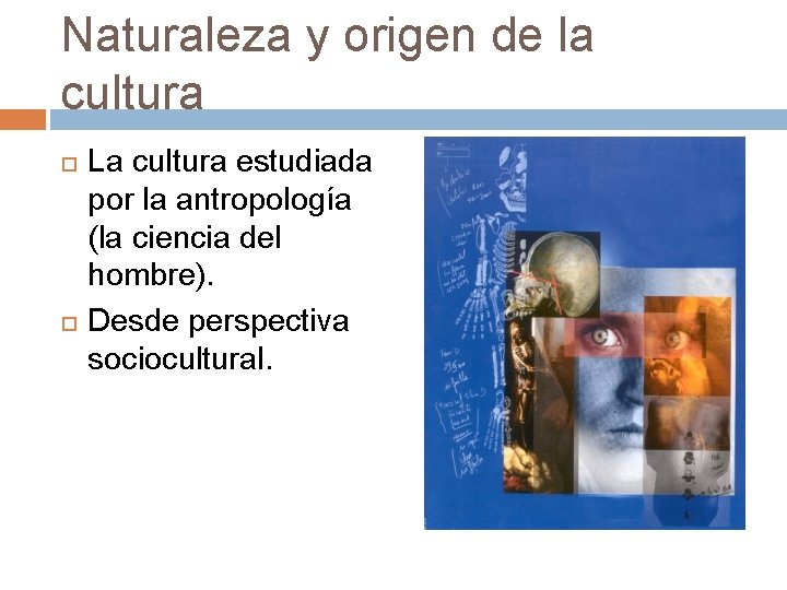 Naturaleza y origen de la cultura La cultura estudiada por la antropología (la ciencia