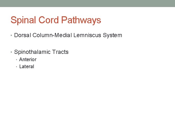 Spinal Cord Pathways • Dorsal Column-Medial Lemniscus System • Spinothalamic Tracts • Anterior •