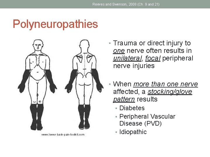 Reeves and Swenson, 2008 (Ch. 9 and 21) Polyneuropathies • Trauma or direct injury