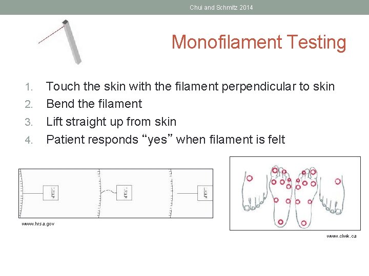 Chui and Schmitz 2014 Monofilament Testing 1. 2. 3. 4. Touch the skin with