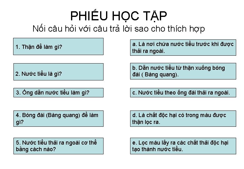 PHIẾU HỌC TẬP Nối câu hỏi với câu trả lời sao cho thích hợp