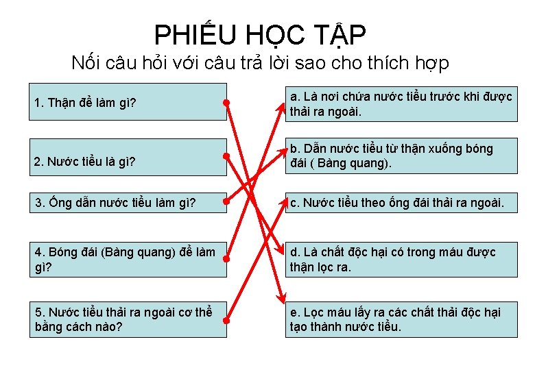 PHIẾU HỌC TẬP Nối câu hỏi với câu trả lời sao cho thích hợp