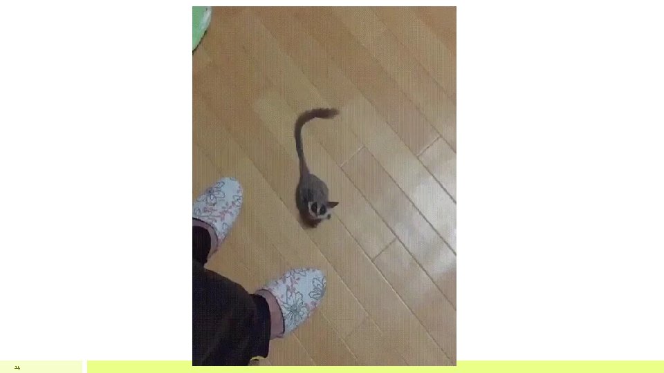 14 14