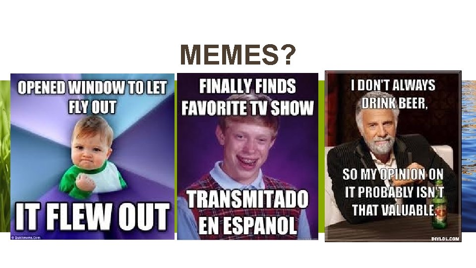 MEMES? MEMES?