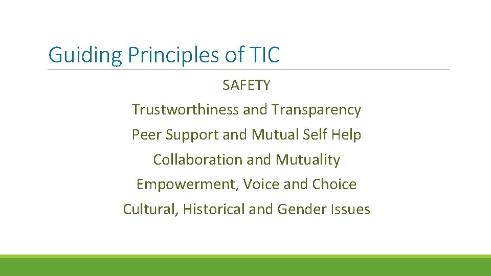 Guiding Principles of TIC SAFETY Trustworthiness and Transparency Peer Support and Mutual Self Help Guiding Principles of TIC SAFETY Trustworthiness and Transparency Peer Support and Mutual Self Help