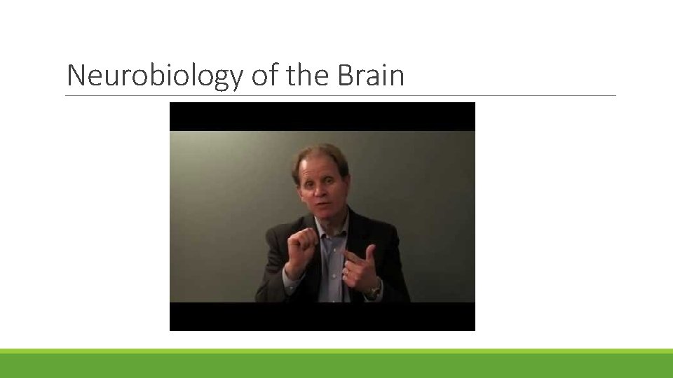 Neurobiology of the Brain Neurobiology of the Brain