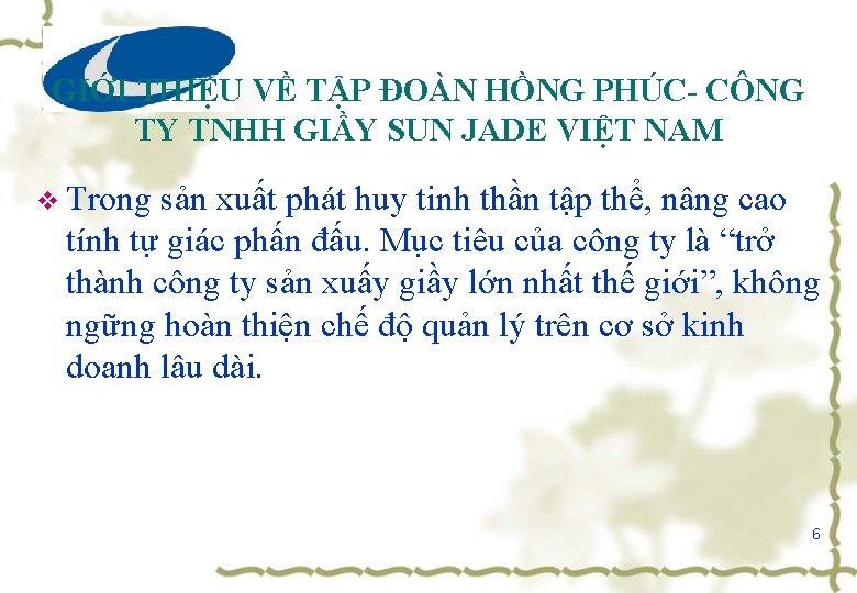 GIỚI THIỆU VỀ TẬP ĐOÀN HỒNG PHÚC- CÔNG TY TNHH GIẦY SUN JADE VIỆT