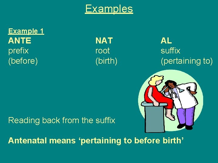 Examples Example 1 ANTE prefix (before) NAT root (birth) AL suffix (pertaining to) Reading