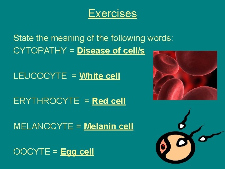 Exercises State the meaning of the following words: CYTOPATHY = Disease of cell/s LEUCOCYTE