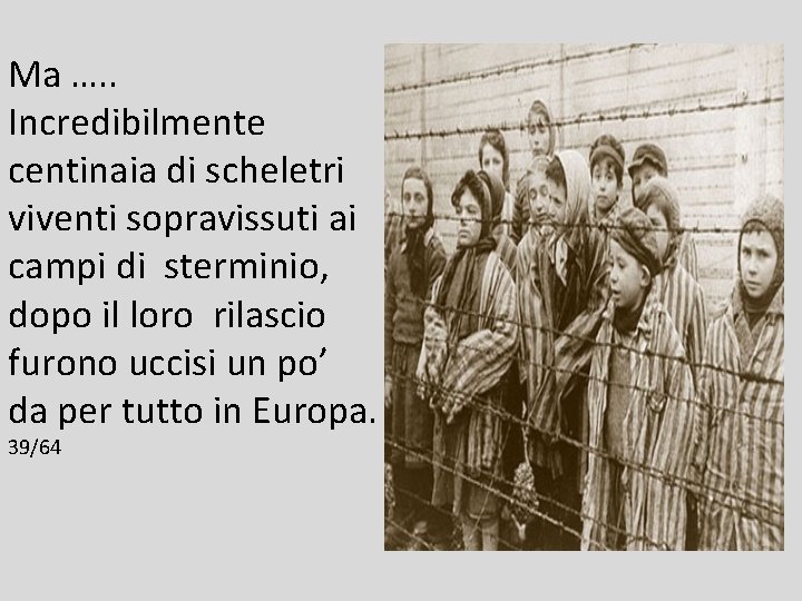 Ma …. . Incredibilmente centinaia di scheletri viventi sopravissuti ai campi di sterminio, dopo