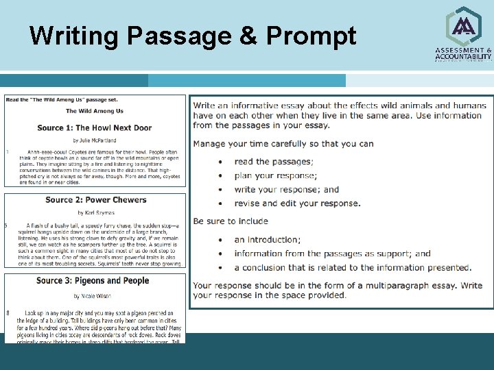 Writing Passage & Prompt 
