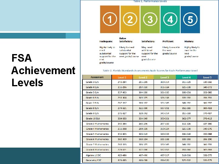 FSA Achievement Levels 