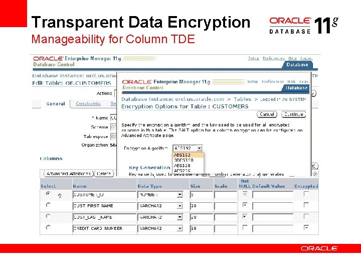 Transparent Data Encryption Manageability for Column TDE 