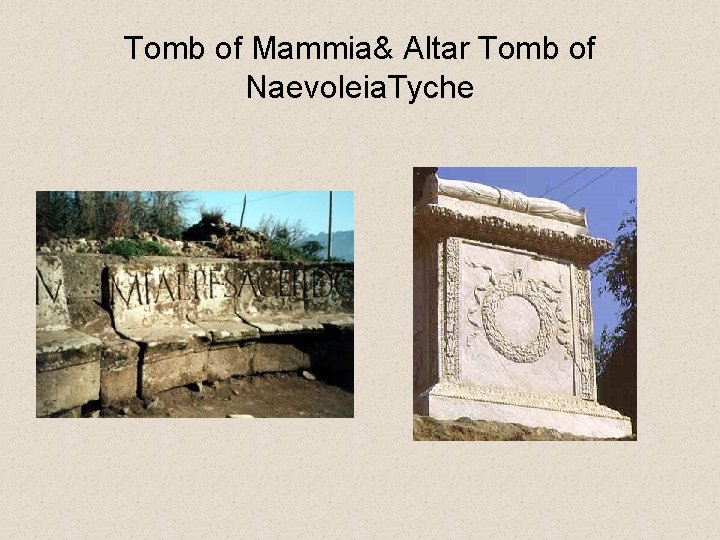 Tomb of Mammia& Altar Tomb of Naevoleia. Tyche 