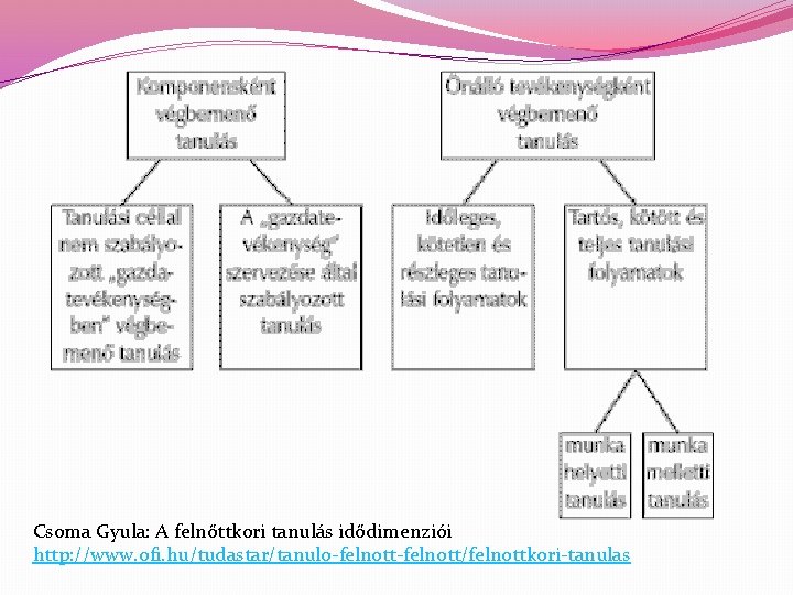 Csoma Gyula: A felnőttkori tanulás idődimenziói http: //www. ofi. hu/tudastar/tanulo-felnott/felnottkori-tanulas 