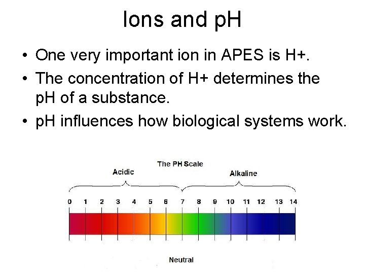 Ions and p. H • One very important ion in APES is H+. •
