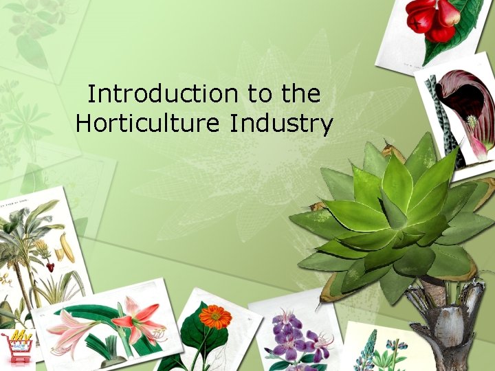 Introduction to the Horticulture Industry 