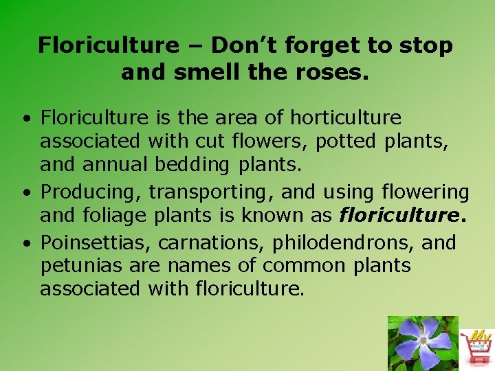 Floriculture – Don’t forget to stop and smell the roses. • Floriculture is the