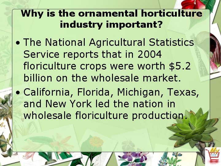 Why is the ornamental horticulture industry important? • The National Agricultural Statistics Service reports