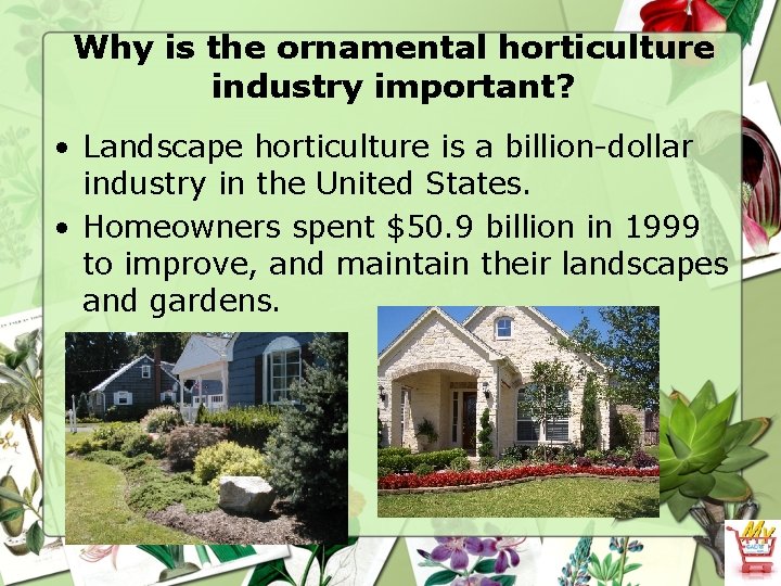 Importance of landscape horticulture